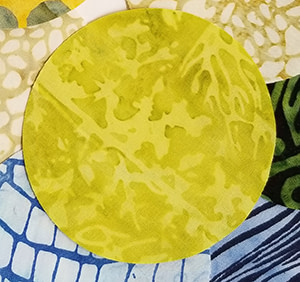 2023-05-21 18.30.02 closeup copy circle close-up